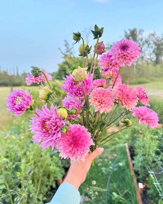 August Flower Subscription